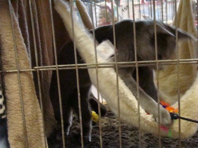 20121021_126 (Expo)